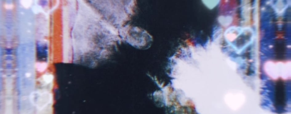 フェニックス | ? Discord Server Banner