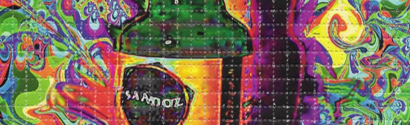 D X M PARADISE Discord Server Banner