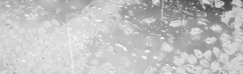 giggleshitters Discord Server Banner