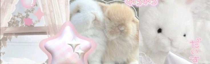 ˜”*°• 𝓛𝓪𝓰𝓸𝓶𝓸𝓻𝓹𝓱𝓪 •°*”˜ Discord Server Banner