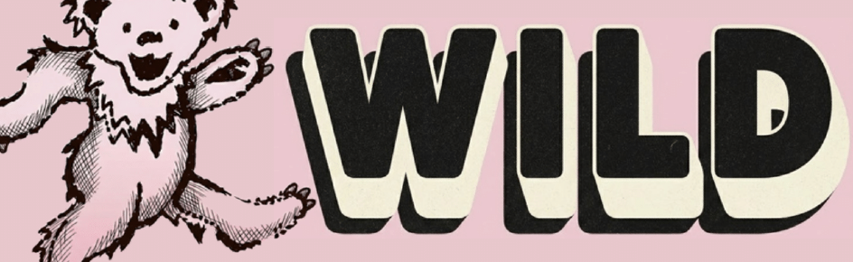 WILD Network Discord Server Banner