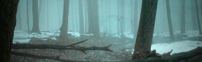 ✾ ] Cozy Cabin [ ✾ Discord Server Banner