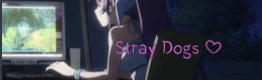 StrayDogz Discord Server Banner