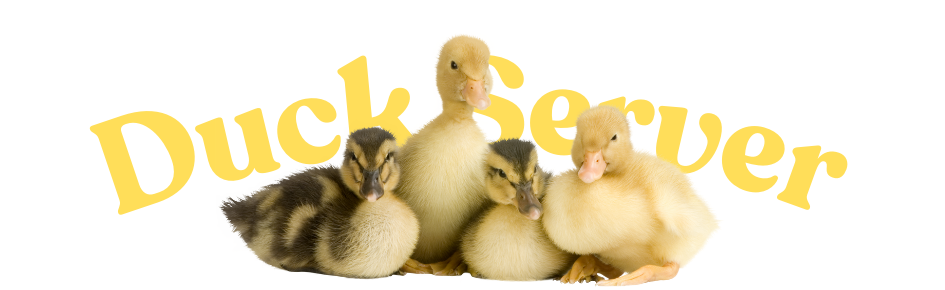 ✨Duck Server✨ Discord Server Banner