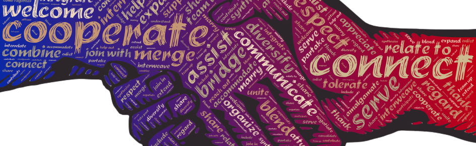 Video/Stream/Pocast Partner Such Discord Server Banner