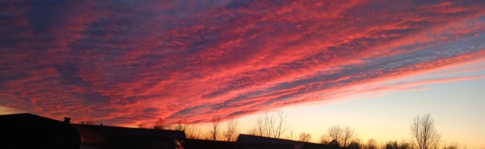 No sleep gang Discord Server Banner