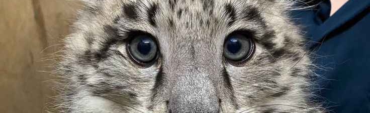 Random Hangout Discord Server Banner