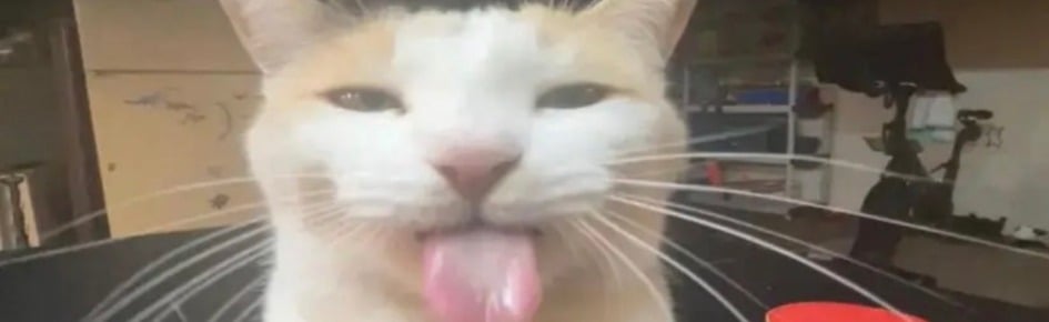 goobertown Discord Server Banner