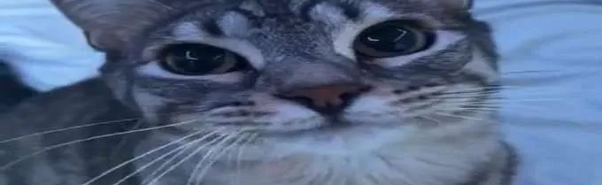 Real aloes Discord Server Banner