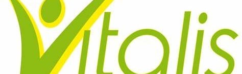 VITLIS MINECRAFT Discord Server Banner