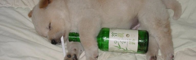 Smugness Discord Server Banner