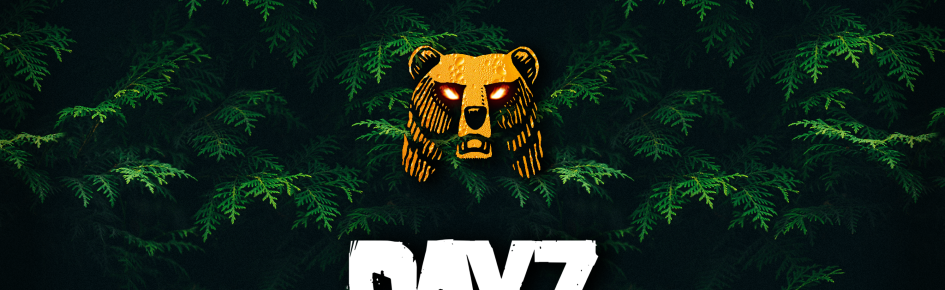 Dayz Chaos Discord Server Banner