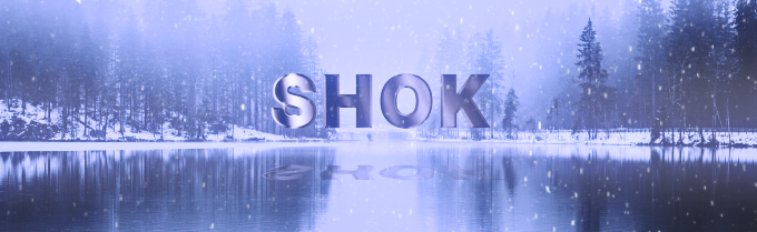 SHOK crew Discord Server Banner