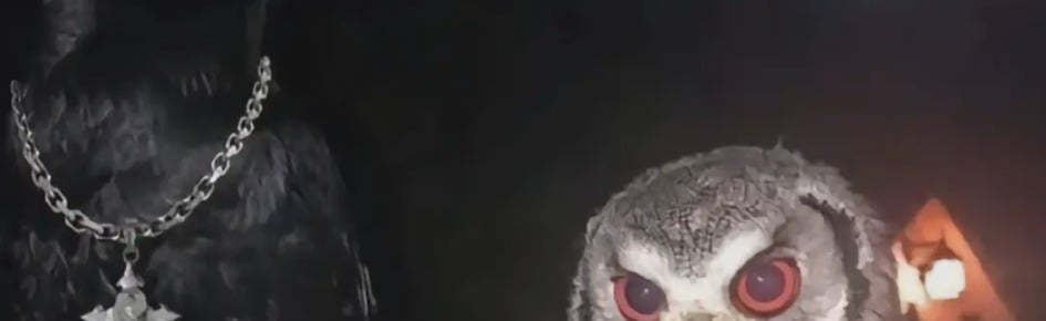 The Void Discord Server Banner