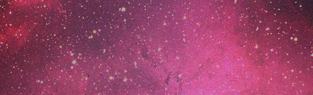 Kuponarium Discord Server Banner