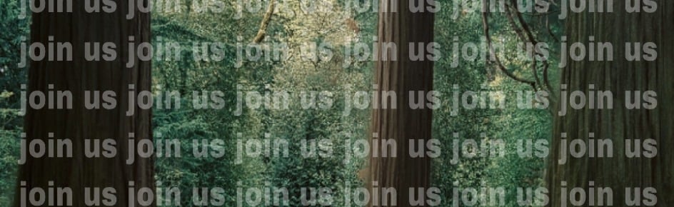 Hideout Discord Server Banner