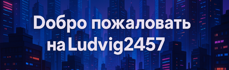 Ludvig2457 Discord Server Banner