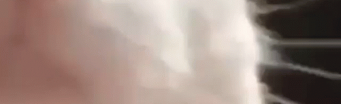 ASAUGH MARKET Discord Server Banner