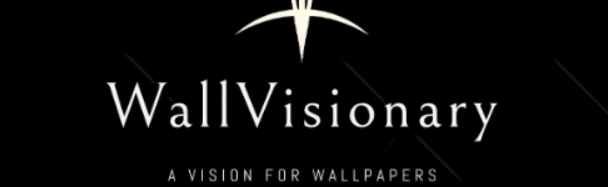 Wall_visionary Discord Server Banner