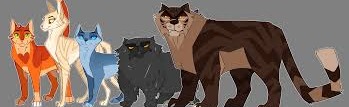 Warrior Cats Rp Discord Server Banner