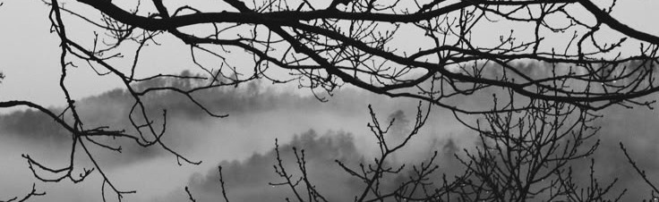 Twisters Evolution Discord Server Banner