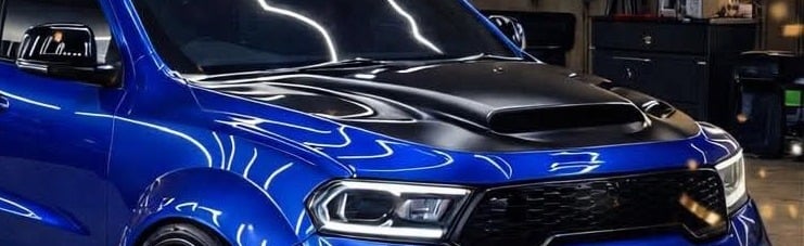 Official Real_Seedank Community Discord Server Banner