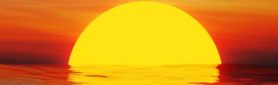 🌻 Sunshine 🌻 Discord Server Banner