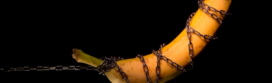 The O-Free Life Discord Server Banner