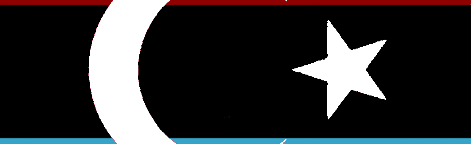 Türkenistapol Devleti Discord Server Banner