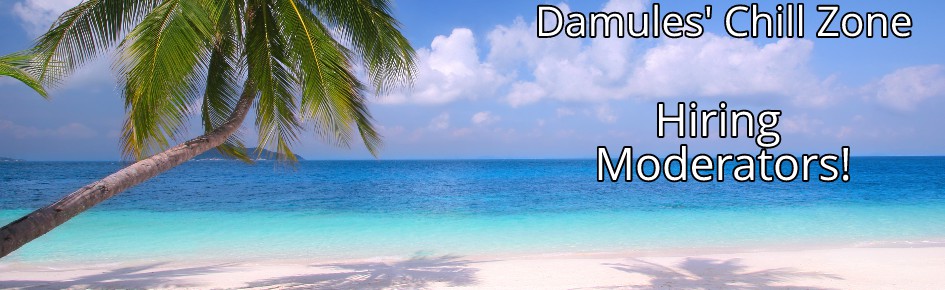 Damules' Chill Zone Discord Server Banner