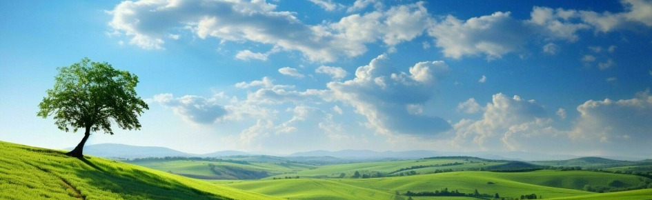 Get Your Shit Together Discord Server Banner