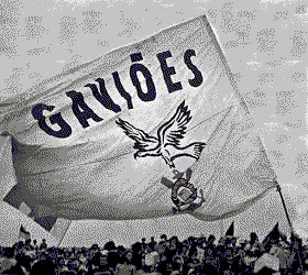 TIMAOPX Discord Server Banner