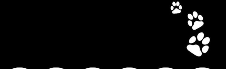 kiti Discord Server Banner