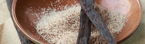 Vanilla Beans! Discord Server Banner