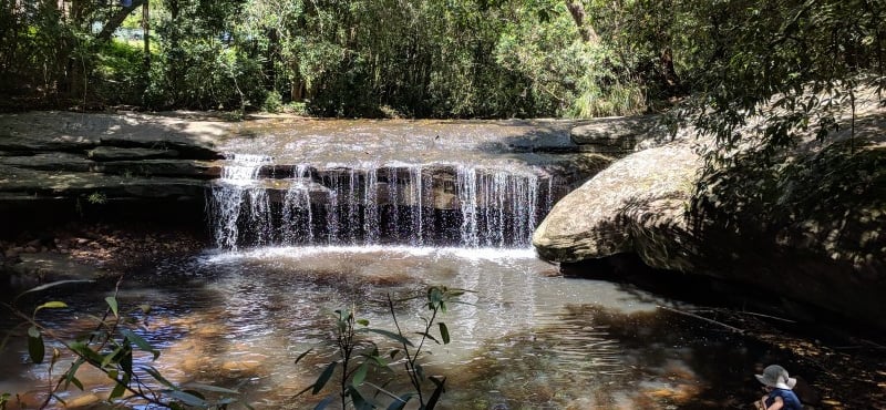 The Creek Discord Server Banner