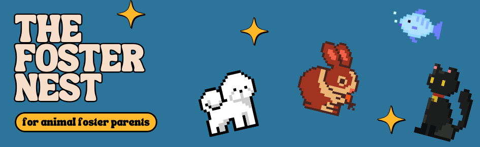 The Foster Nest Discord Server Banner