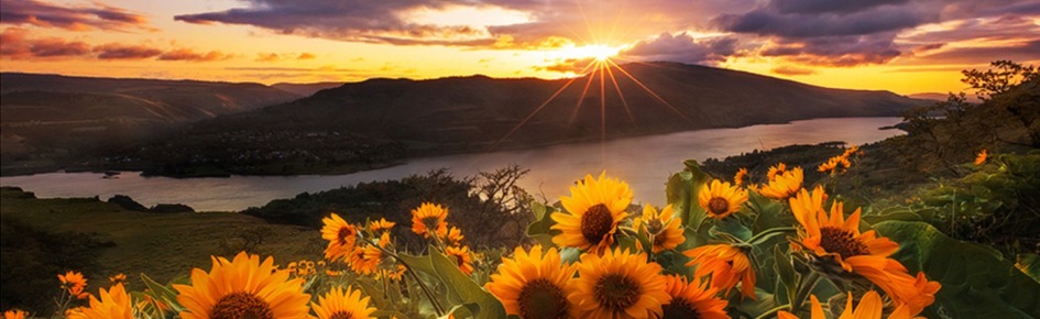 Dating Arena Discord Server Banner