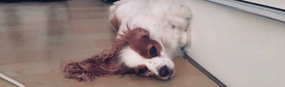 berry's bang? Discord Server Banner