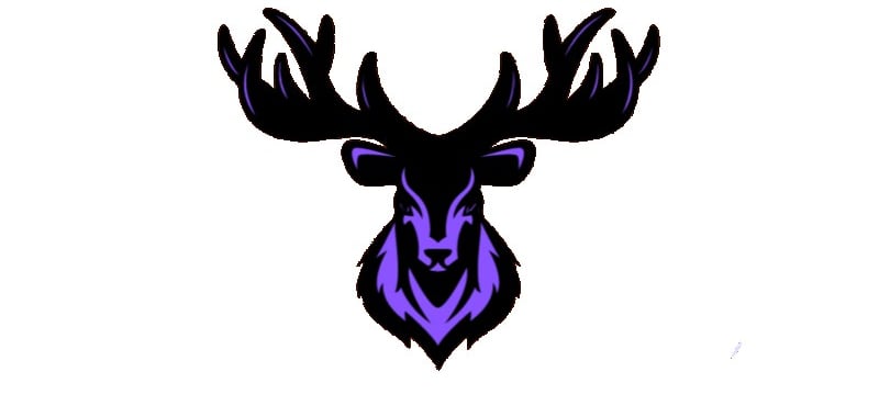 Usva eSports Discord Server Banner