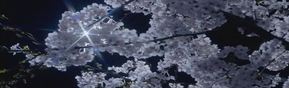 Tsukiko's den Discord Server Banner