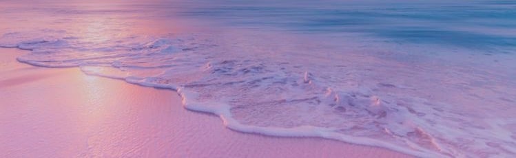 The Treehouse Discord Server Banner