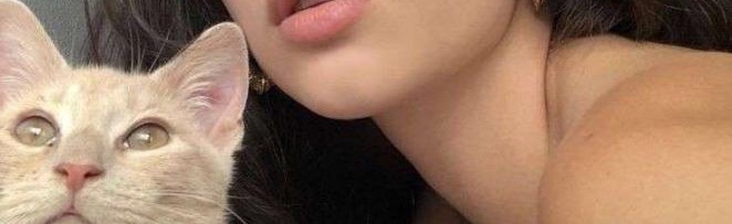 Elifer | global . darting . fun Discord Server Banner