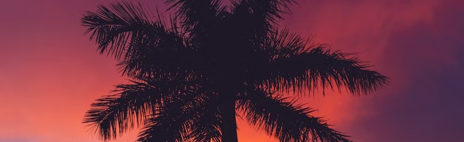 #Place Discord Server Banner