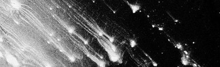 ERHEMEPAL Discord Server Banner