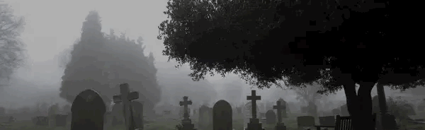 /sacrificed Discord Server Banner