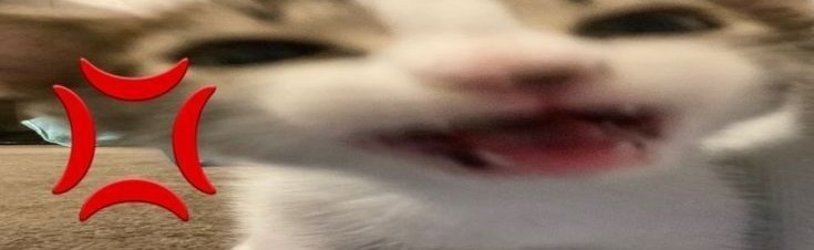 Fall Sale Discord Server Banner