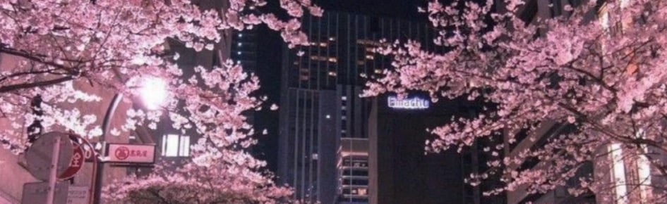 Fare Cove Discord Server Banner