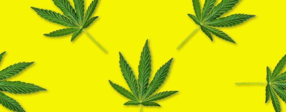 ⌯COPACABANA⌯ Discord Server Banner