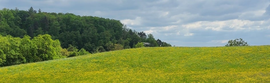 The Chill Server Discord Server Banner