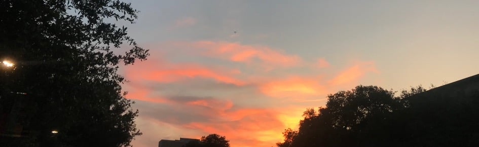 Lioth Melody Discord Server Banner